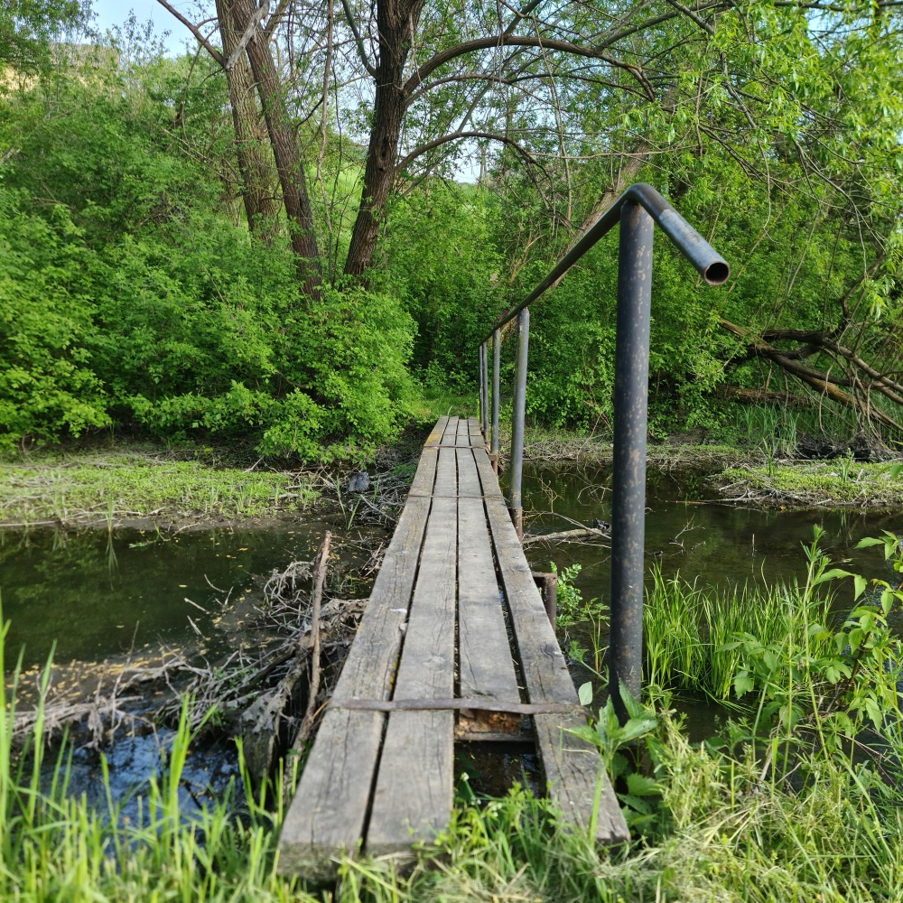 Root River State Trail